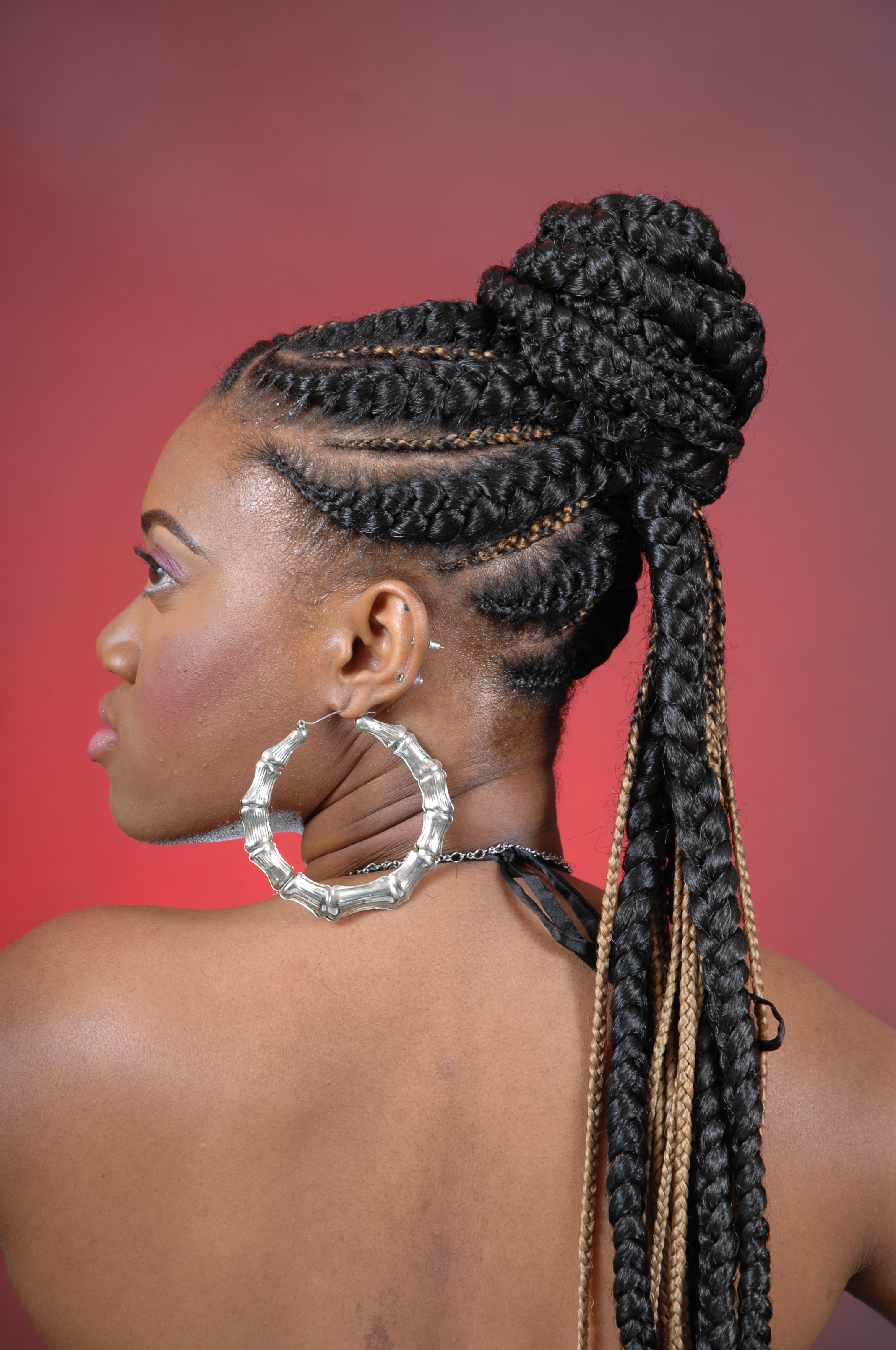 African Hair Braiding Styles Photograph African Hair Braid